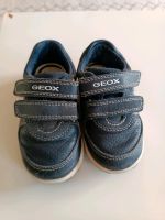 Geox Respira Sneaker Gr 22 Bayern - Eckersdorf Vorschau