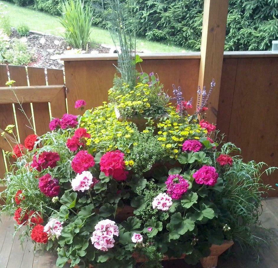 Hochbeet, Pyramide, Kräuterschnecke, Sofort Versandfertig. in Schlangen