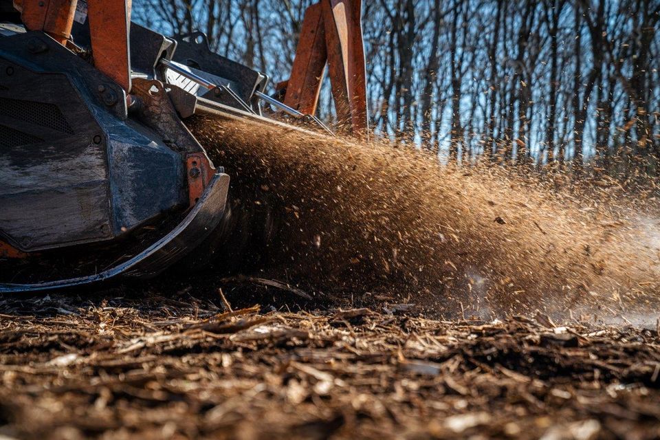 TMC CANCELA TFR-250N Forstmulcher/Mulcher für Traktor-Lagergerät- in Schmallenberg