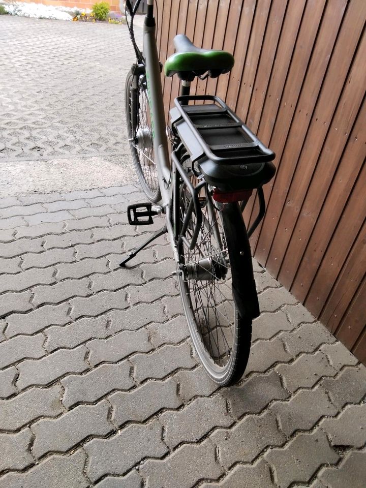 E-BIKE Damen in Neugersdorf