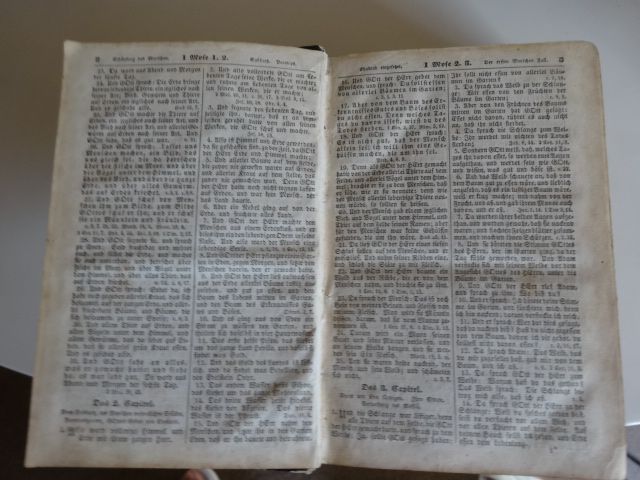 Die Bibel mit alten u.neuen Testament v.ca. 1850 in Zwickau