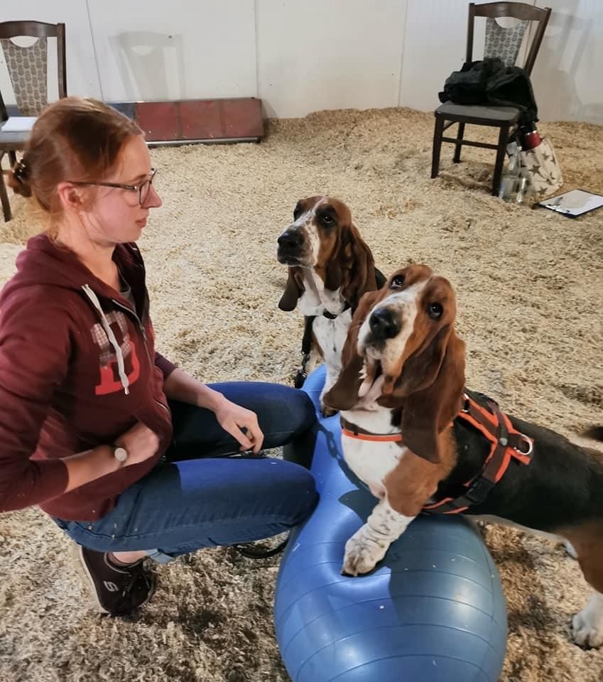 Osteopathie & Physiotherapie für Hunde in Drochtersen