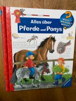 Wieso weshalb warum Alles über Pferde und Ponys Köln - Rodenkirchen Vorschau