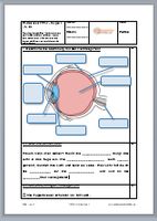 Probe zu Heimat-und Sachunterricht: Das Auge + Lösung Nürnberg (Mittelfr) - Oststadt Vorschau