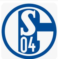 Suche Schalke Osnabrück 2 tickets Nordrhein-Westfalen - Hamm Vorschau