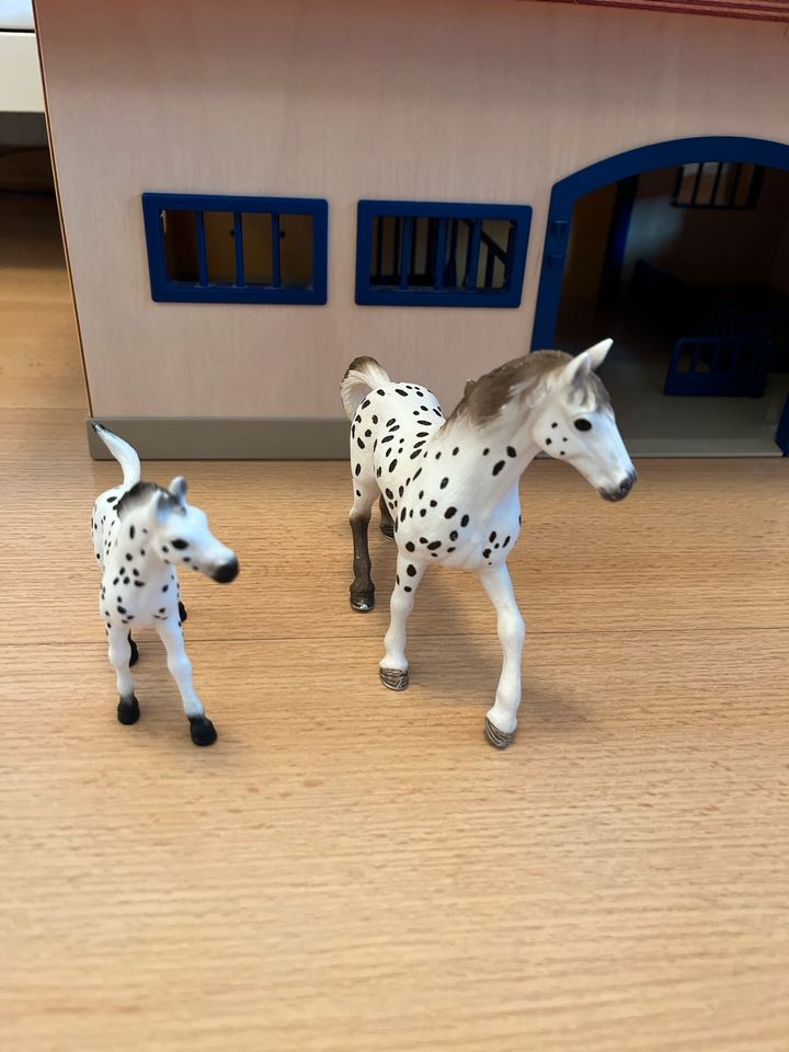 Schleich Pferde Knabstuber in Verden