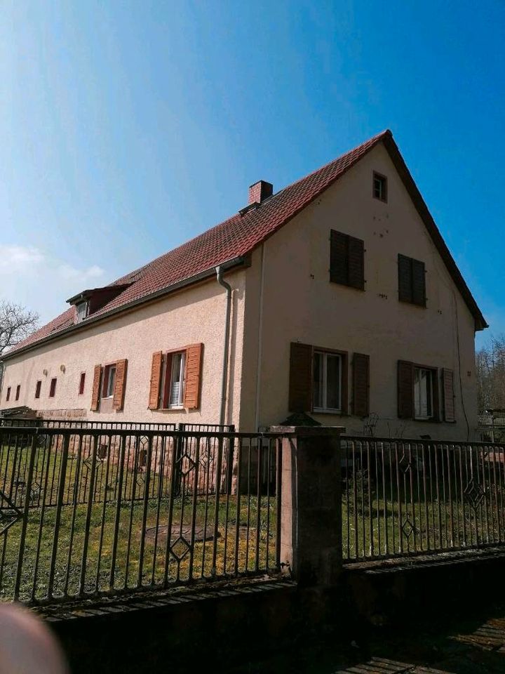 Sehr schöner kleiner Bauernhof in Bad Kösen