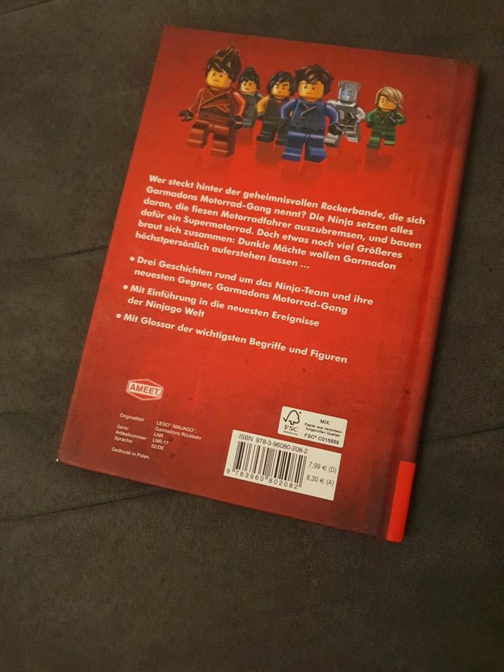 Ninjago Garmadons Rückkehr in Niederelbert