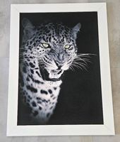 Leopard mit grünen Augen | Leinwandbild | Wandbild Nordrhein-Westfalen - Hille Vorschau