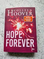 Hoover Colleen - Hope Forever Bayern - Nördlingen Vorschau
