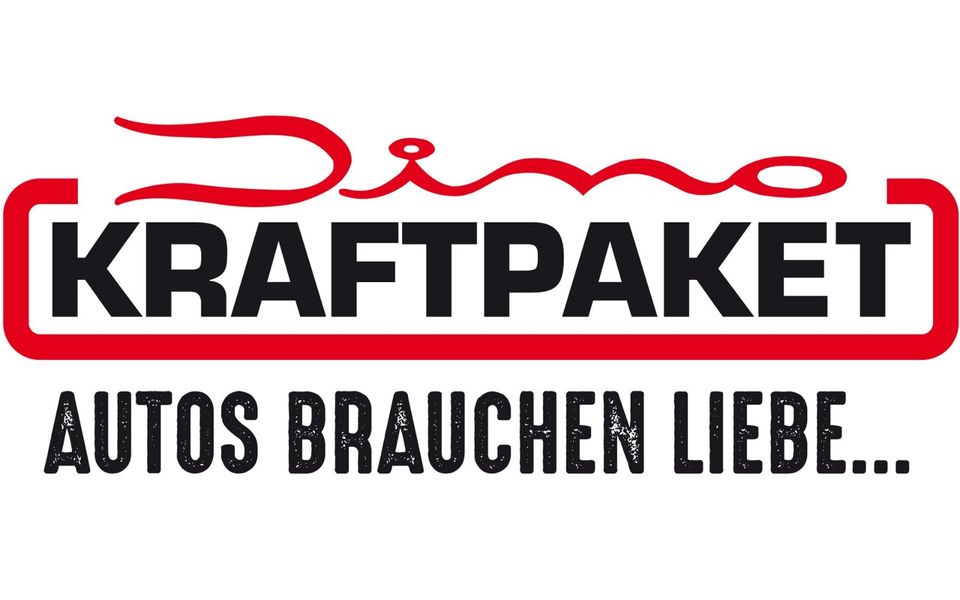 Dino KRAFTPAKET Regelbares KFZ Ladegerät 12v/24v-25a/12a/6a/2a Batterieladegerät Auto LKW Motorrad Boot automatisches intelligentes Batterie-Ladegerät in Herdecke