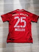 FC Bayern München Trikot Größe 164 Schleswig-Holstein - Reinsbüttel Vorschau