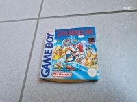 Original Karton inkl Einlage und Beiblatt Mario Bros von Nintendo Mühlhausen - Freiberg Vorschau
