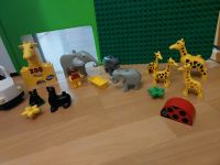 Lego Duplo Zoo mit Giraffen, Elefanten, Robben und Zoofahrzeug Bayern - Fürstenfeldbruck Vorschau