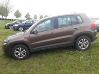 Volkswagen Tiguan Trend & Fun 4Motion 1,4 TSi + Shz+Tempo++ Niedersachsen - Ahlerstedt Vorschau