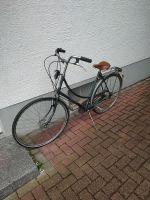 Batavus Touring Hollandrad 28 Zoll CrMo Rahmen Hessen - Rodgau Vorschau