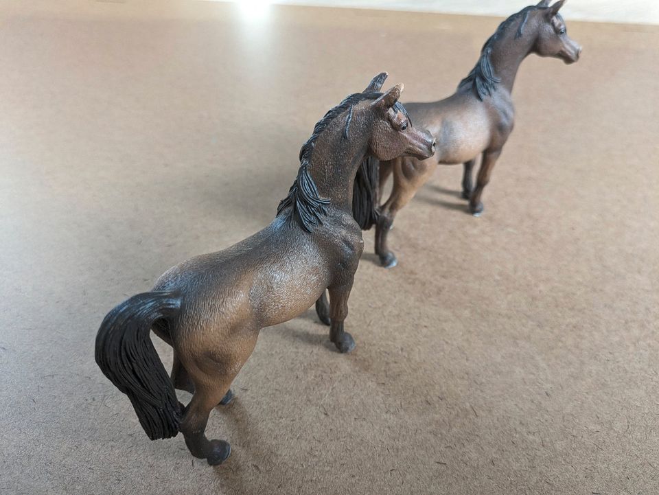 Schleich Pferde, einzeln oder komplett, Sammlerstücke 9Pferde in Wolfenbüttel
