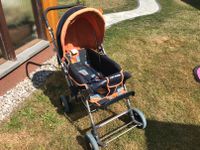 Kinderkutsche Kinderwagen Buggy ABC Design preiswert Sachsen - Chemnitz Vorschau