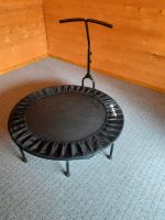 Trampolin 120 cm Thüringen - Neidhartshausen Vorschau