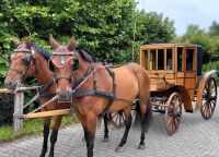 Historische Kutsche, Alter Münsterländer Kirchwagen Nordrhein-Westfalen - Warendorf Vorschau