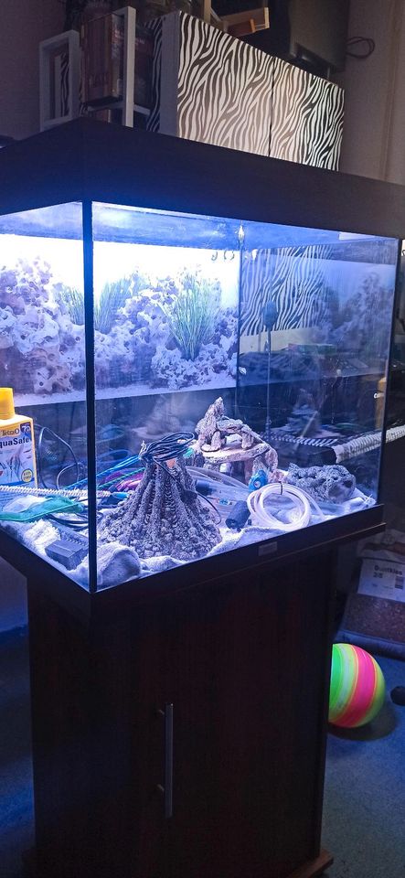 Aquarium Juwel mit Unterschrank in Bad Lippspringe
