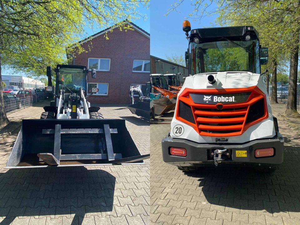 Radlader Bobcat L75 Kompaktradlader in Ostrhauderfehn