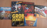 LP (7 Stück) Vinyl Sammlung Grobschnitt (Mint) Baden-Württemberg - Straubenhardt Vorschau