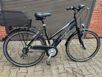 Alu Rex Unisex Fahrrad Gepflegt 28 Zoll Nordrhein-Westfalen - Recklinghausen Vorschau