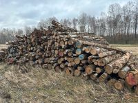 Brennholz, Stammholz Birke Thüringen - Stadtroda Vorschau