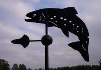 Wetterfahne, Wetterfahnen, Forelle, Fisch, Edelstahl, Geschenk Nordrhein-Westfalen - Ladbergen Vorschau