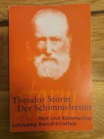 Theodor Storm: Der Schimmelreiter - Suhrkamp Stuttgart - Möhringen Vorschau