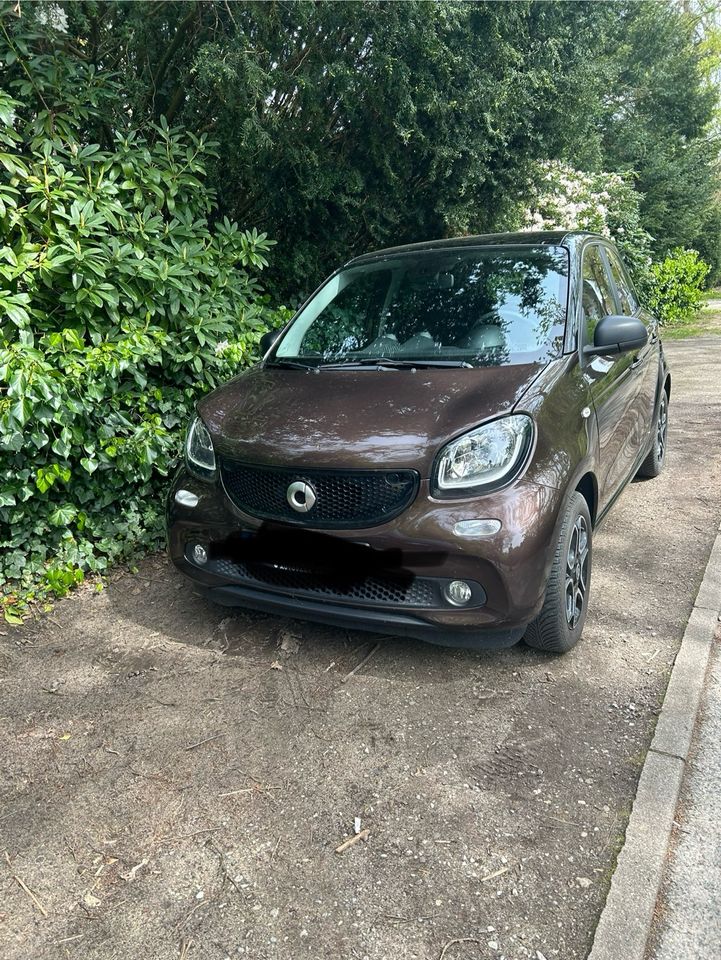 Smart Forfour in Glückstadt