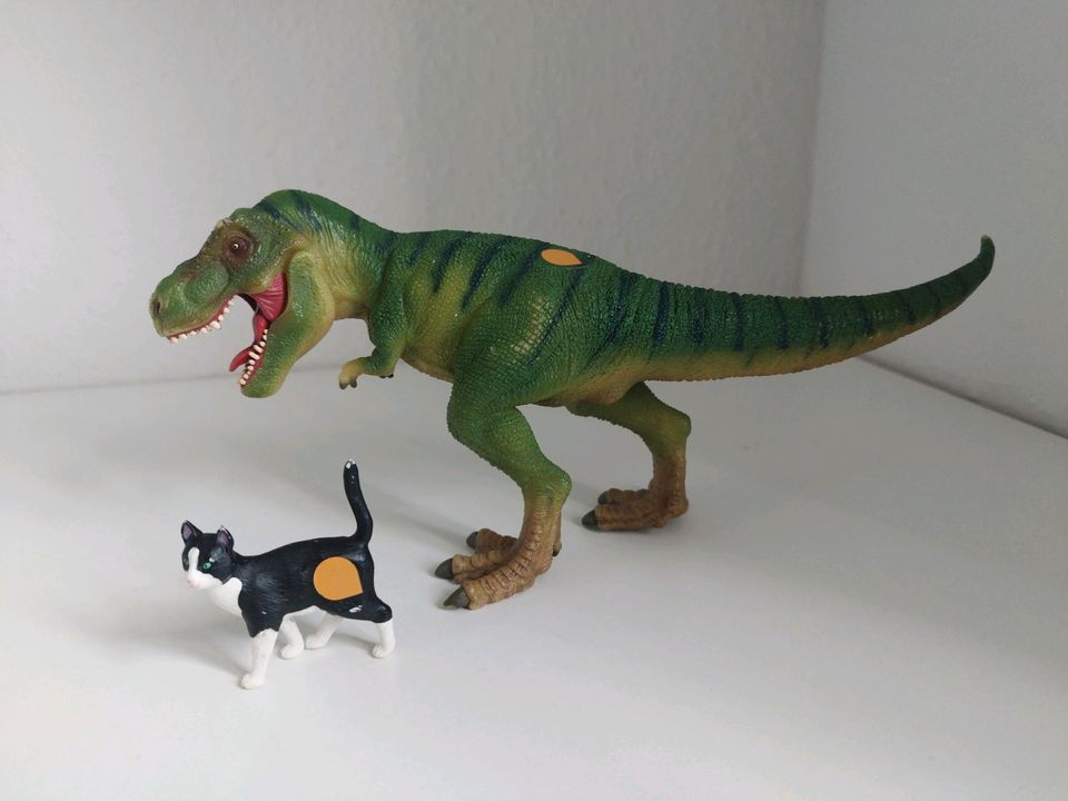 Tip Toi T-Rex und Katze in Ahrenshöft