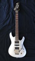 IBANEZ  Ergodyne 470 ex  mit Hardcase Baden-Württemberg - Herrischried Vorschau