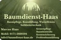 Baumfäller Baumkletterer Baumpfleger Baumkontrolleur Baden-Württemberg - Michelfeld Vorschau