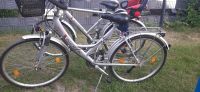 Alurex Damen und Herren Fahrrad 28 Zoll zu verkaufen Nordrhein-Westfalen - Detmold Vorschau