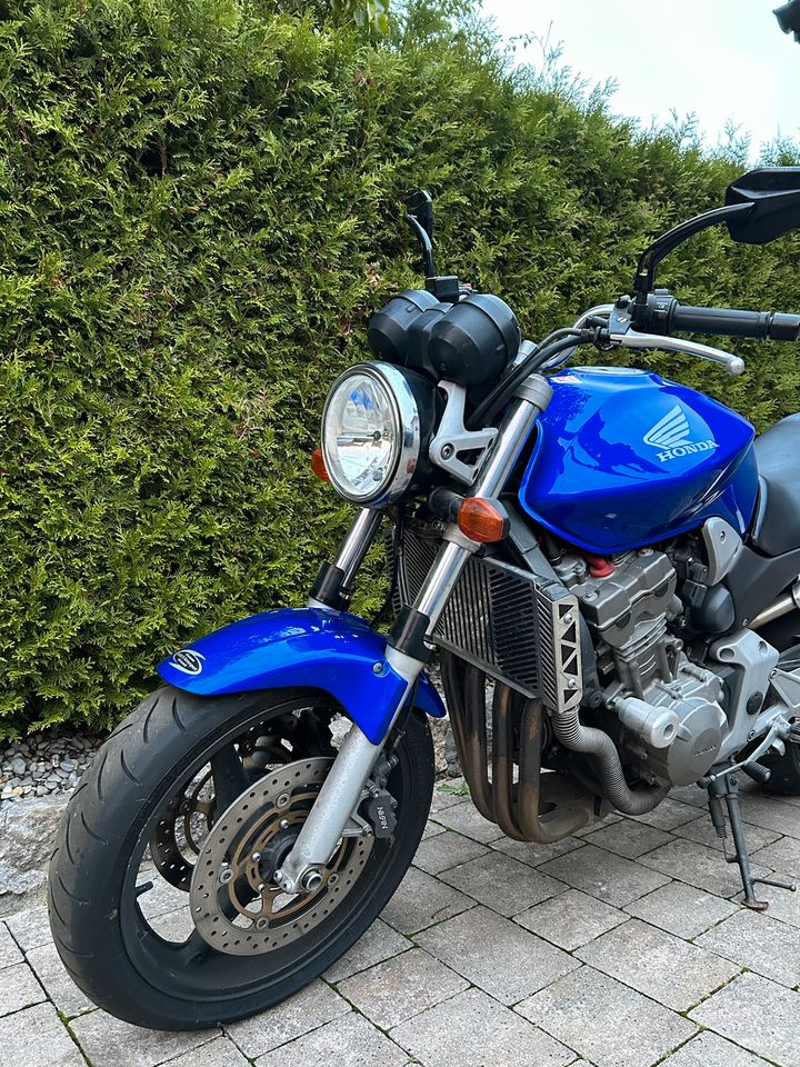 Honda Hornet 900 in Schönbrunn