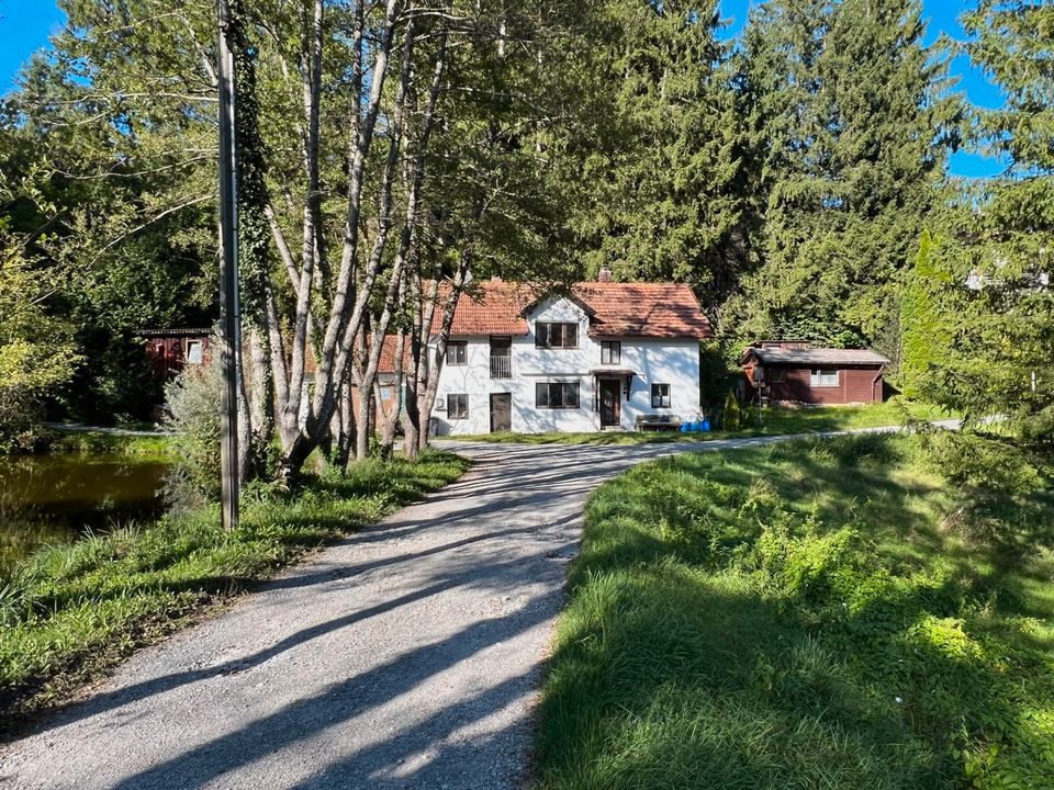 Traumhaftes Grundstück mit Altbestand am See in idyllischer Lage in Ebersberg