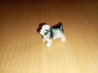 Spaniel Cocker Cockerspaniel Porzellan Miniatur Figur Vintage Hamburg-Nord - Hamburg Eppendorf Vorschau