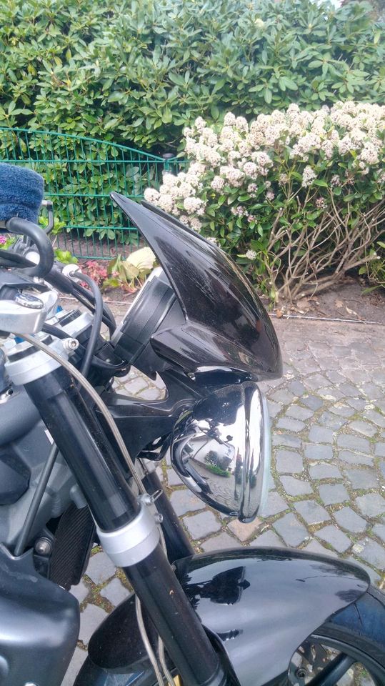 Street Triple 675 R in Vechta