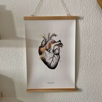 Hochwertiges Designposter "Human Heart" Friedrichshain-Kreuzberg - Friedrichshain Vorschau