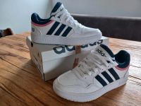 Adidas hoops 3.0 37 sneakers neuwertig Nordrhein-Westfalen - Unna Vorschau
