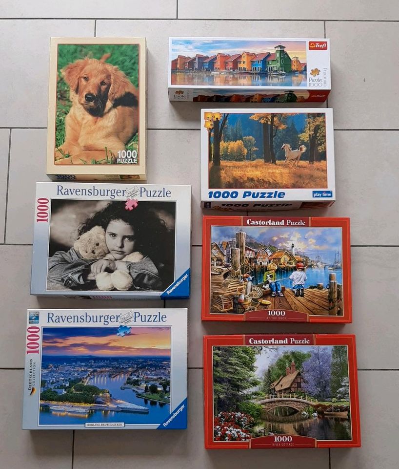 1000-Teile-Puzzle (Ravensburger, Castorland u.a.) in Witten