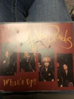 4 non blondes whats up Bayern - Regensburg Vorschau