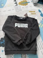 Puma kinder pullover Frankfurt am Main - Sachsenhausen Vorschau