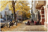 Zimmer im Prenzlauer Berg Pankow - Prenzlauer Berg Vorschau