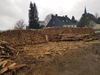 Fichte , Brennholz , 1 m lang, gespalten lan Rheinland-Pfalz - Weinsheim Vorschau