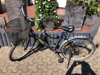Fahrrad, Größe 26, lila, mit Korb, 5-Gang, klassischer Dynamo Nordrhein-Westfalen - Hille Vorschau