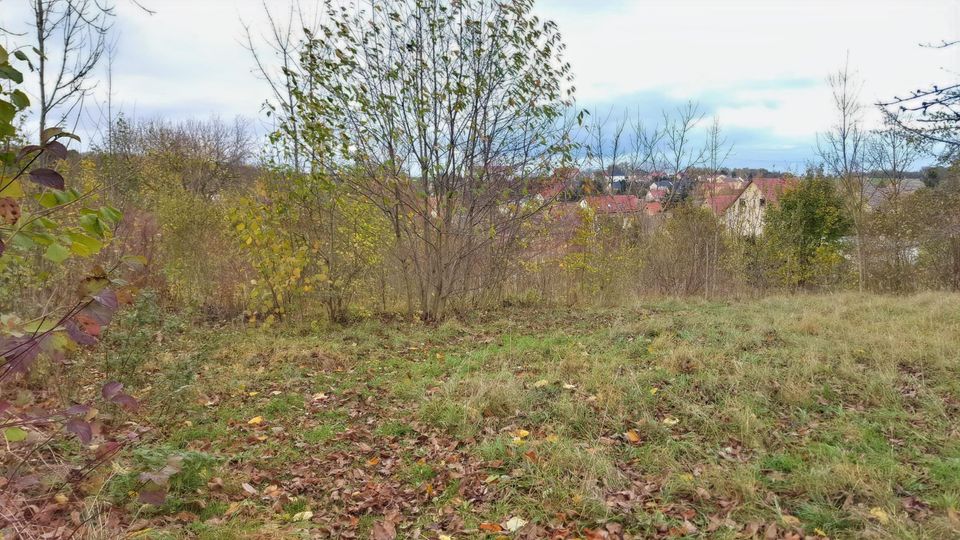 Bauen Sie jetzt ihr Traumhaus! Kleinstadtidylle mit Aussicht - Wohnbaugrundstück in Schkölen in Schkölen