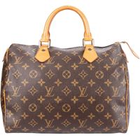 Louis Vuitton Monogram Speedy 30 Handtasche Sachsen-Anhalt - Halle Vorschau